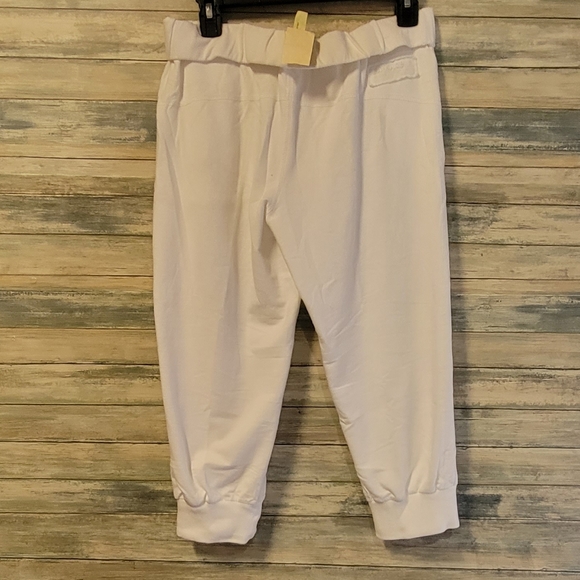 DA-NANG SWEATPANT SHORTS - Picture 2 of 4
